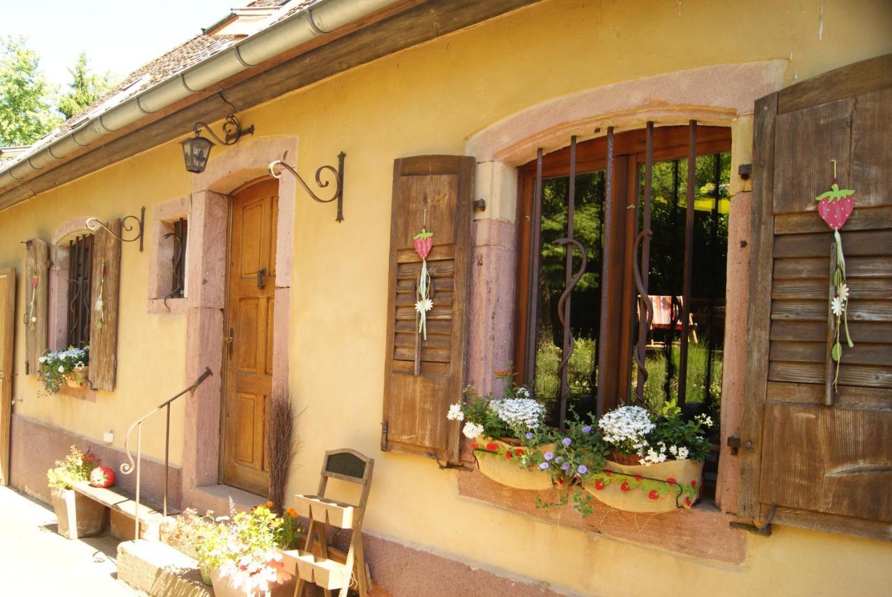 Gite Du Thalala Bernardville Экстерьер фото