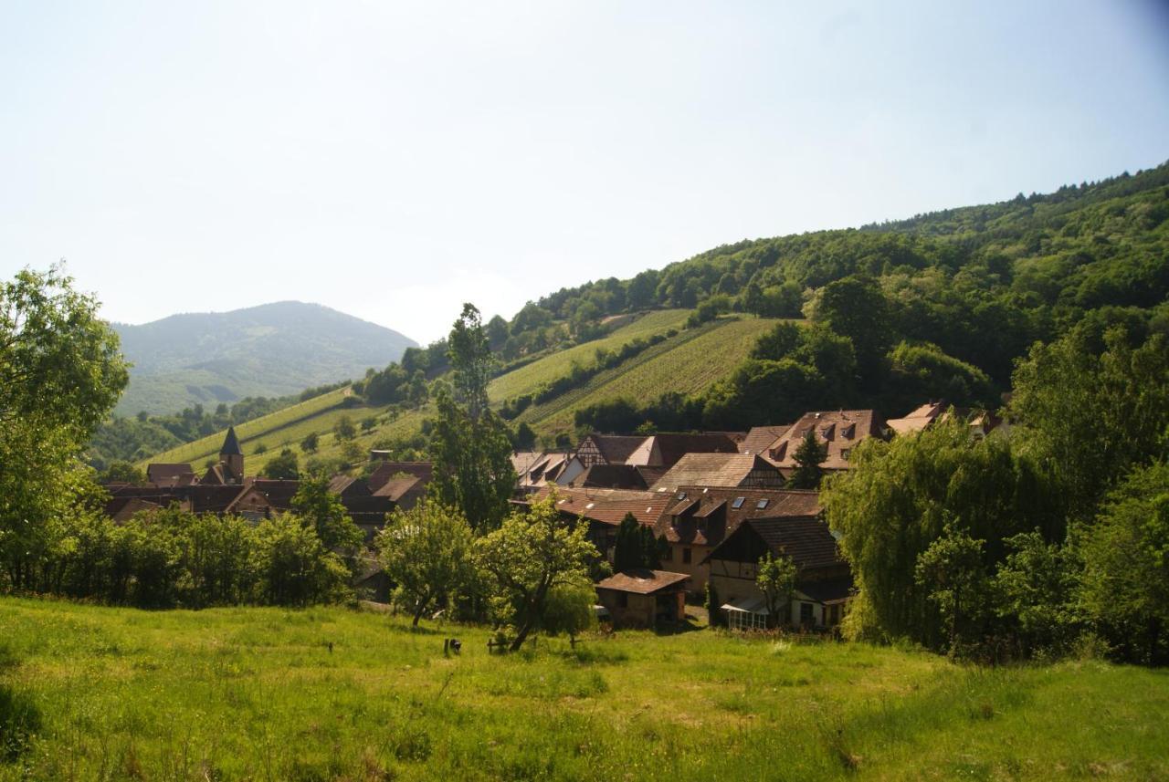 Gite Du Thalala Bernardville Экстерьер фото